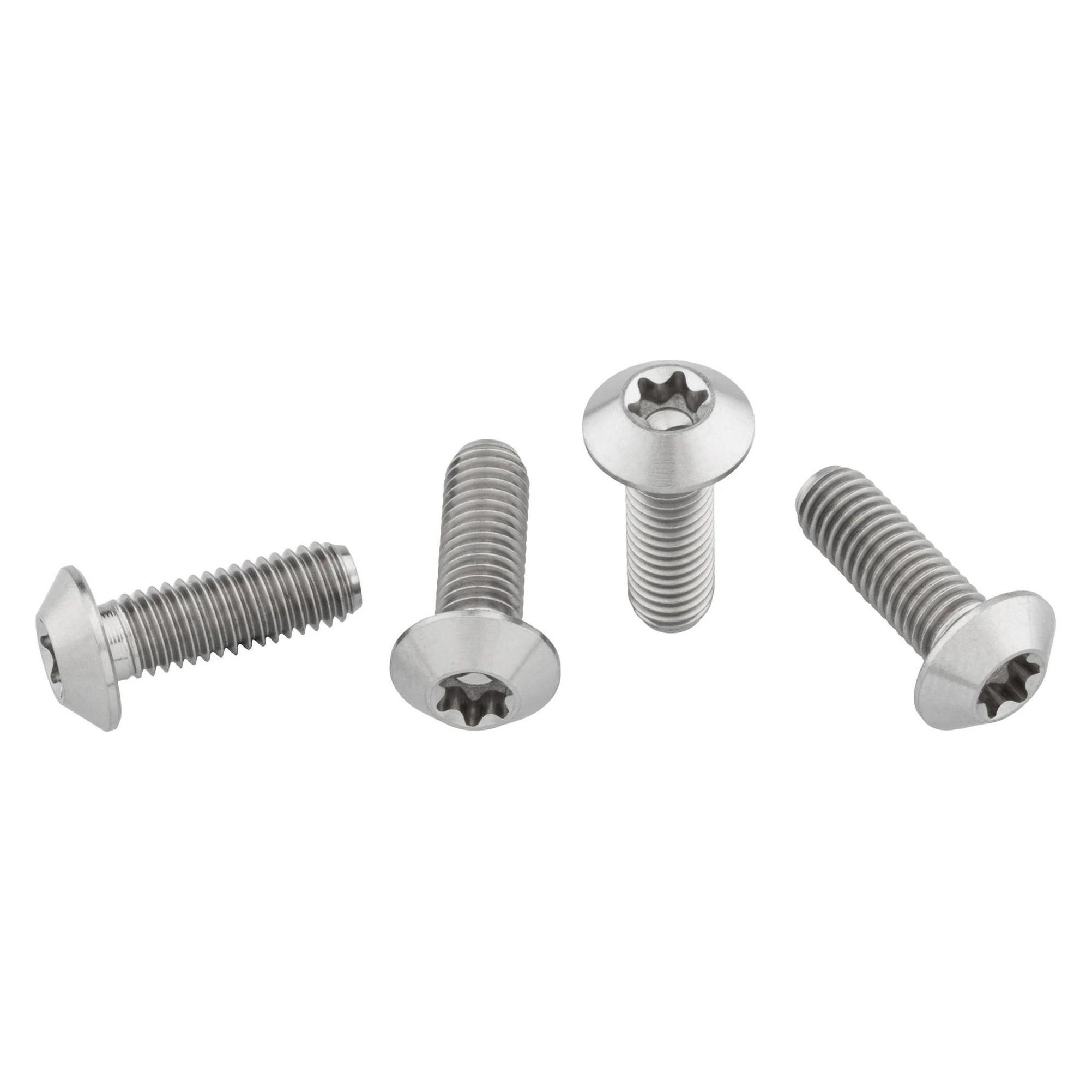Wolf Tooth Flaschenhalter-Titanschrauben, M5x15mm, low profile, 4 Stk., raw titanium (4TIWBBOLT-LP)