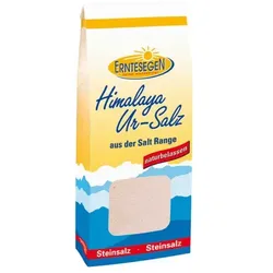 Erntesegen Himalaya Ur-Salz feinkörnig Beutel 1kg