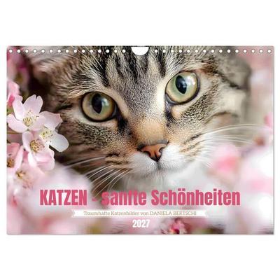 Katzen - sanfte Schönheiten (Wandkalender 2027 DIN A4 quer), CALVENDO Monatskalender