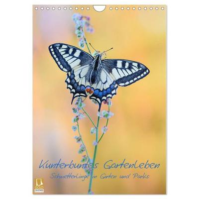 Kunterbuntes Gartenleben - Schmetterlinge in Gärten und Parks (Wandkalender 2027 DIN A4 hoch), CALVENDO Monatskalender