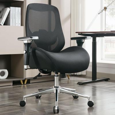 toswini Mesh Big and Tall Office Chair with Spring Seat and Adjustable 4D Arms