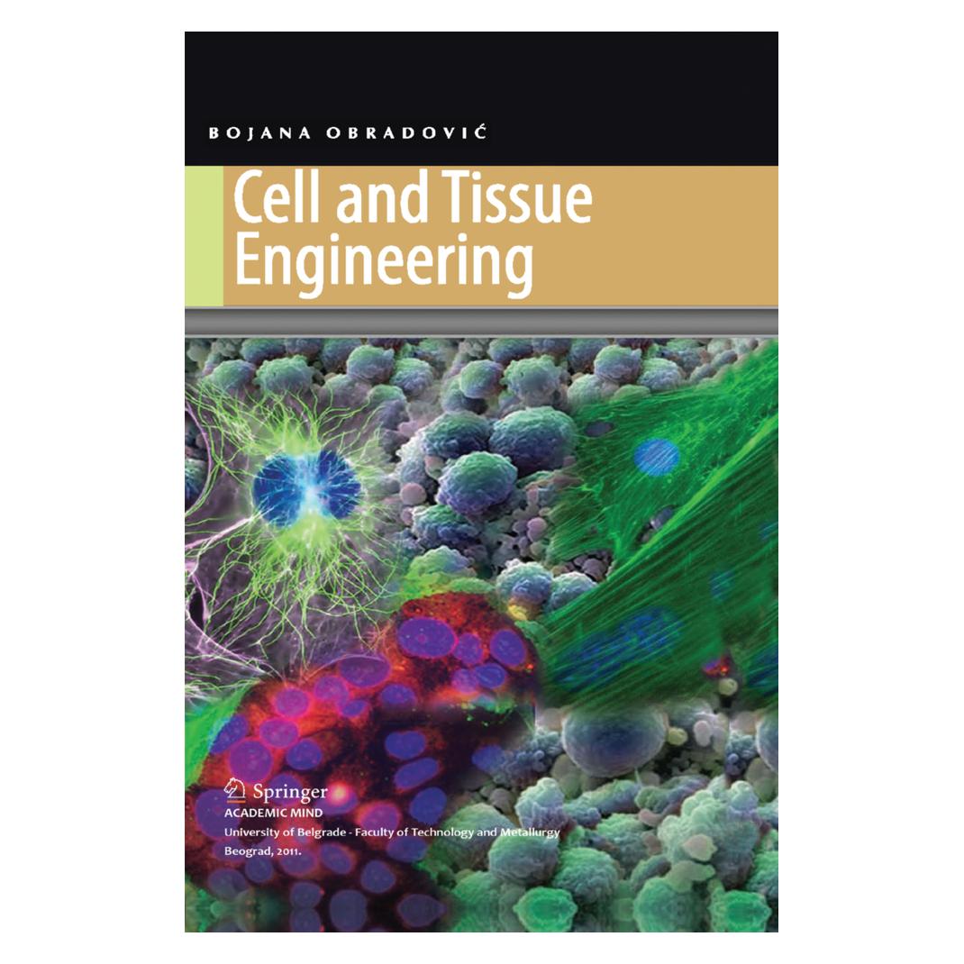 Springer Cell and Tissue Engineering (Englisch, Softcover, Bojana Obradovic) (56042091)