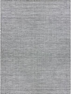 EXQUISITE RUGS Lenzi Indoor/Outdoor Flatweave PET yarn Black/Ivory Area Rug.