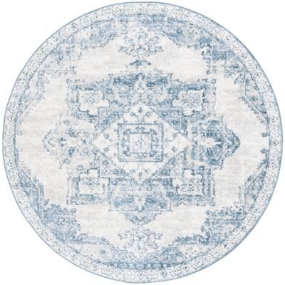 SAFAVIEH Layla Noor Shabby Chic Farmhouse Rug