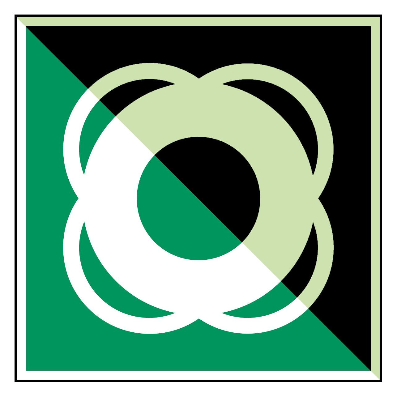 Brady ISO-Sicherheitsschild - Rettungsring (135036)
