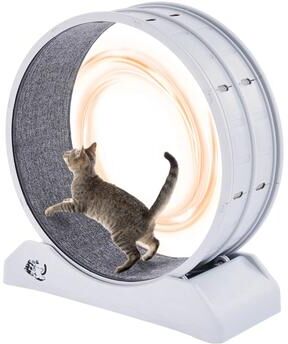 Multicon Wholesale Hub Cat Exercise Wheel Large Indoor Running Wheel Treadmill For Cats, White Cat Exercise Wheel Large Indoor Running Wheel Treadmill For Cats, White