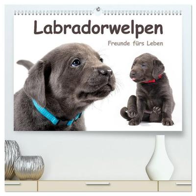 Labradorwelpen - Freunde fürs Leben (hochwertiger Premium Wandkalender 2027 DIN A2 quer), Kunstdruck in Hochglanz