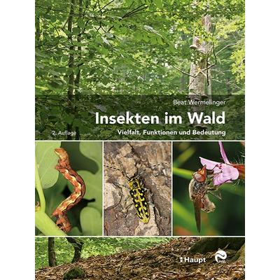 Insekten im Wald, Gebundene Ausgabe von Beat Wermelinger, Haupt Verlag, 978-3-258-08217-2