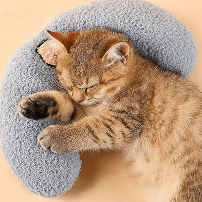 Inspire Curations CloudNest Ultra Soft Calming Cat Pillow Bed For Cozy Sleep & Joint Support blue