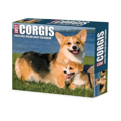 Corgis 2026 Box Calendar
