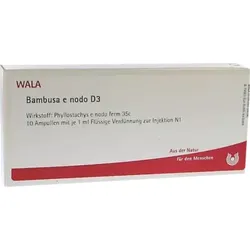 Bambusa e nodo D3 Ampullen 10X1 ml Ampullen