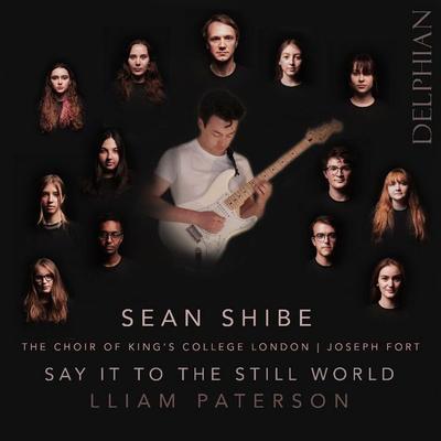 Say it to the still world - Lliam Patterson, CD, 0801918342462