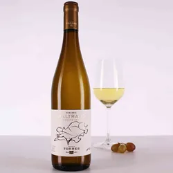 Torres 2024 Torres Waltraud Riesling 2024 Riesling Spanien