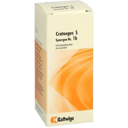 Synergon Kompl Cratae S 1b