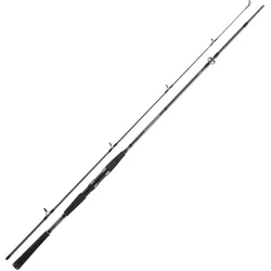Daiwa Seahunter X 2.40m 100-200g Dorsch-Pilkrute