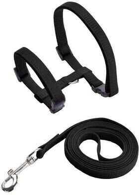 Uplifted Finds Sphynx Cat Adjustable Harness And Leash Set black