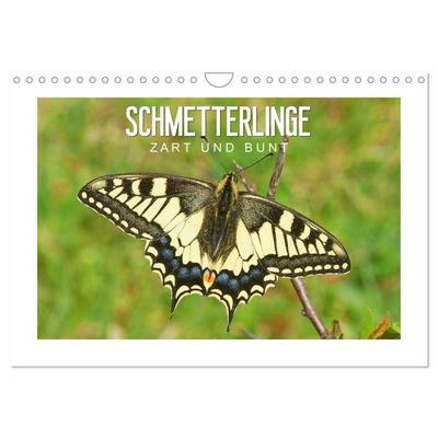Schmetterlinge: zart und bunt (Wandkalender 2027 DIN A4 quer), CALVENDO Monatskalender
