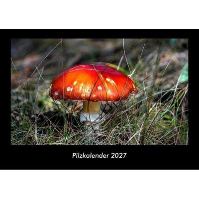 Pilzkalender 2027 Fotokalender DIN A3