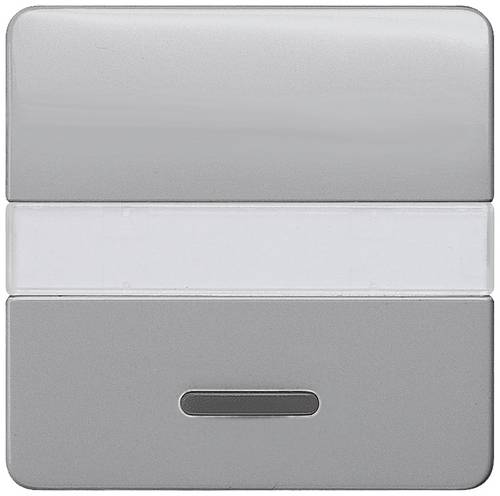 Siemens Schalterprogramm Wippe Delta Silber 5TG7935 1St.