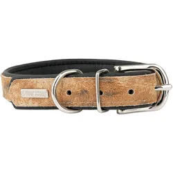 Barry King Obroża dla psa, LION, 20mm /50cm (Hund), Halsband + Leine