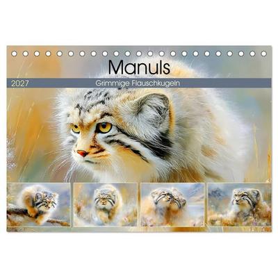 Manuls. Grimmige Flauschkugeln (Tischkalender 2027 DIN A5 quer), CALVENDO Monatskalender