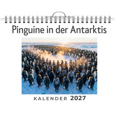 Pinguine in der Antarktis
