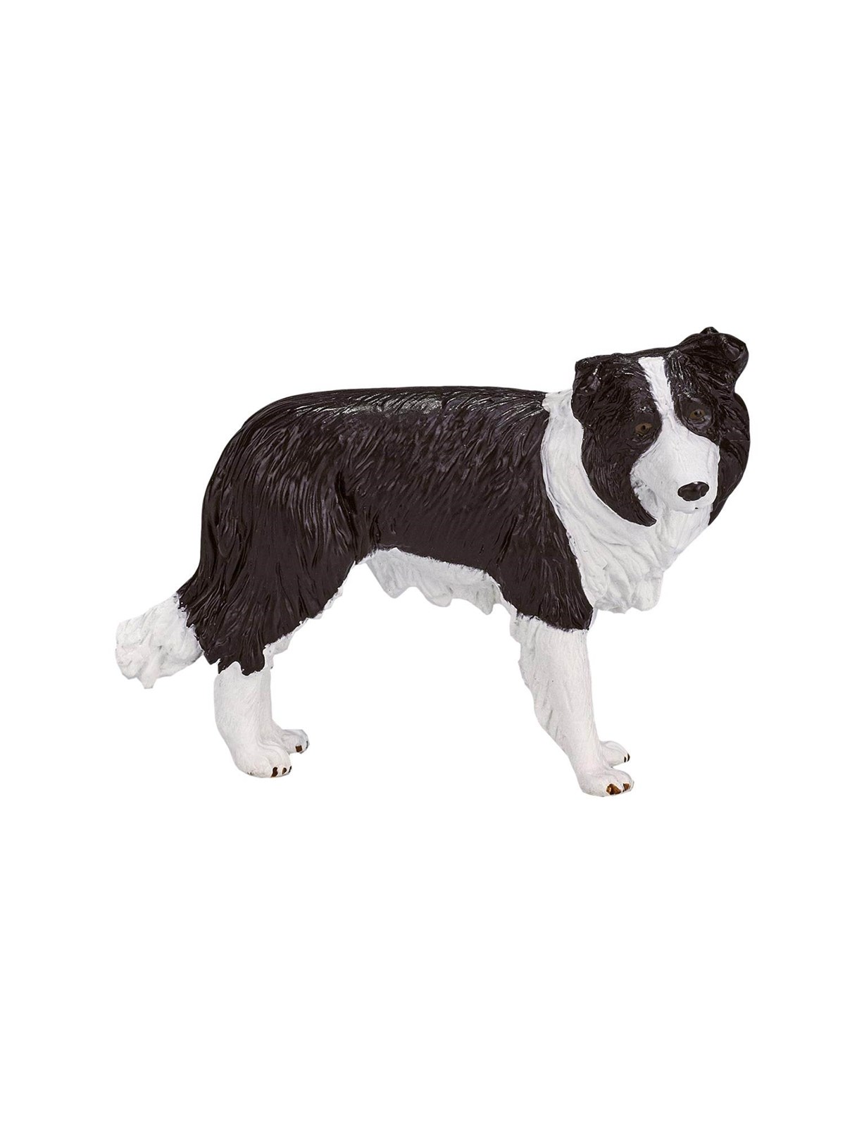 Mojo Farmland Border Collie
