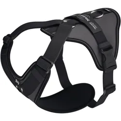 Julius-K9 K9 Longwalk light sele w/trackerpocket,Anthrazit,L (L, Hund, Spazieren), Halsband + Leine