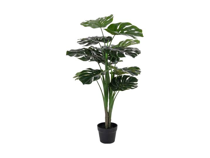 Lebensechte Kunstpflanze „Monstera Nori“ Grün, Braun Chosen by Bloomingloft
