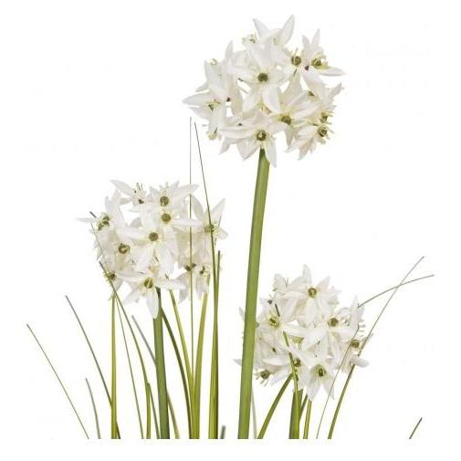 Europalms Alliumgras, Kunstpflanze, weiss, 120 cm (120 cm) (82600169)