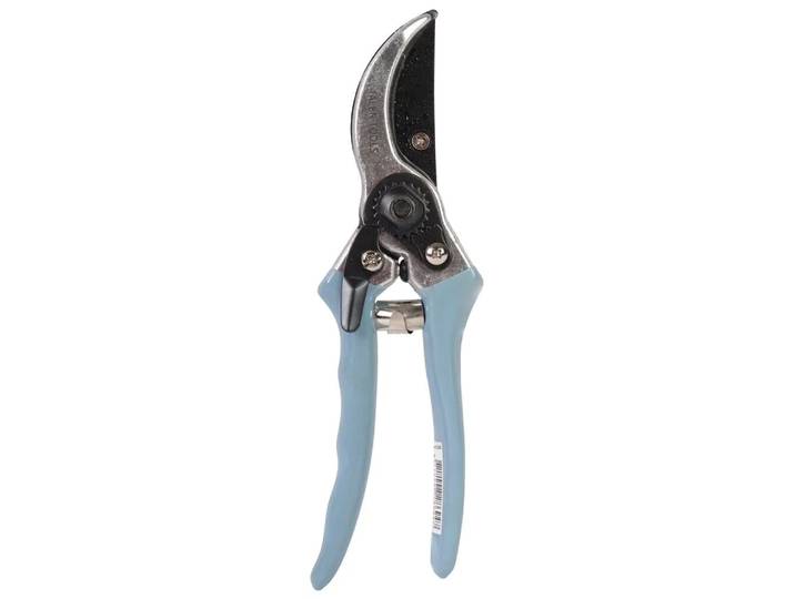 Talen tools snoeischaar blauw