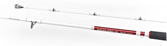 Daiwa Sealine Z Trolling