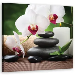 WANDBILD orchidee blumen zen