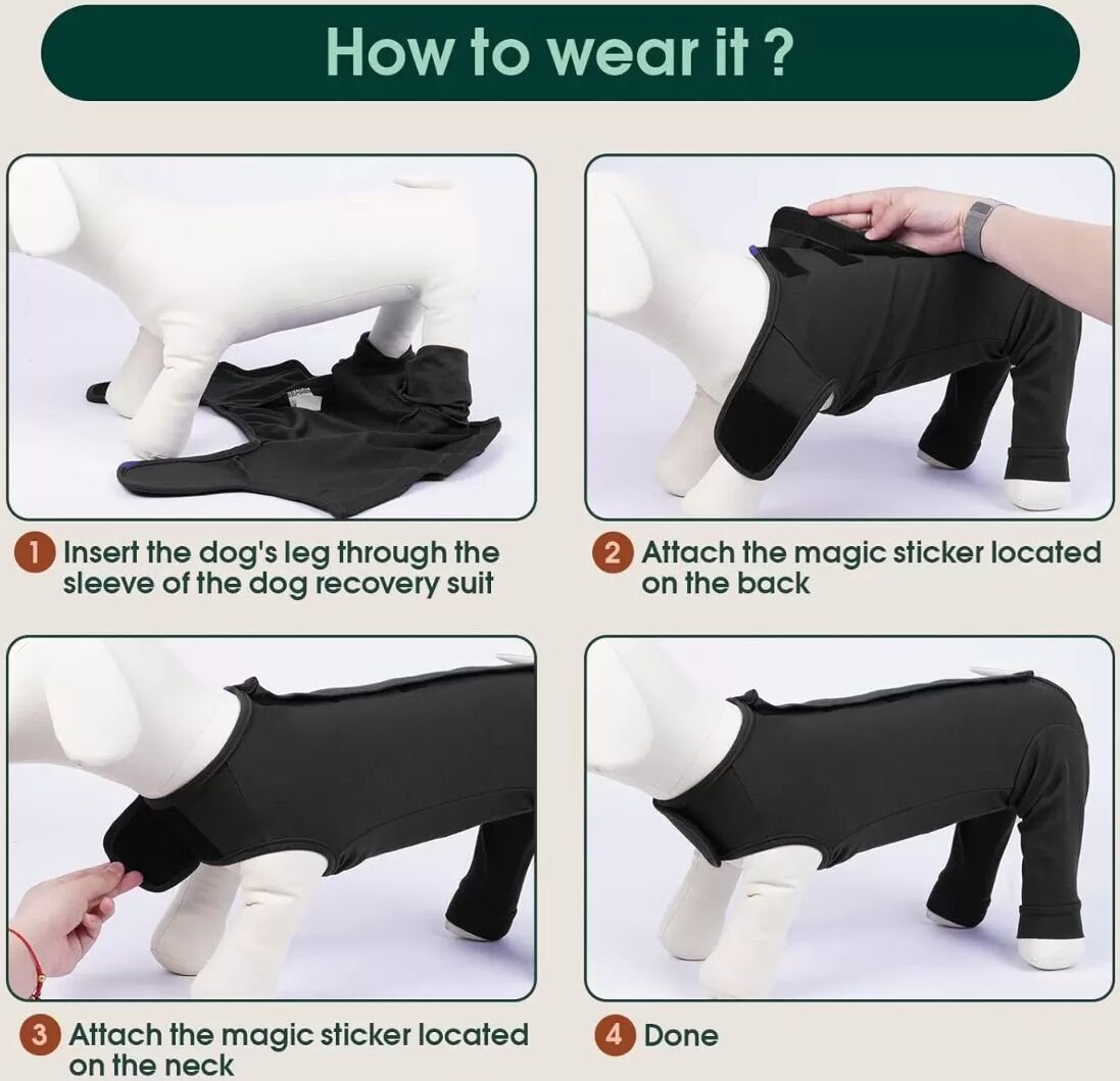 INF Combinaison de convalescence pour chien - Pantalon anti-léchage, Combinaison respirante en polyester, Respectueuse de la M Le noir