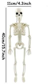 Inspire Select Spooky Life Size Posable Skeleton Halloween Decor Realistic Humanoid Bone Prop For Haunted House & Party Displays 15.75 4.33 In 1 Pc