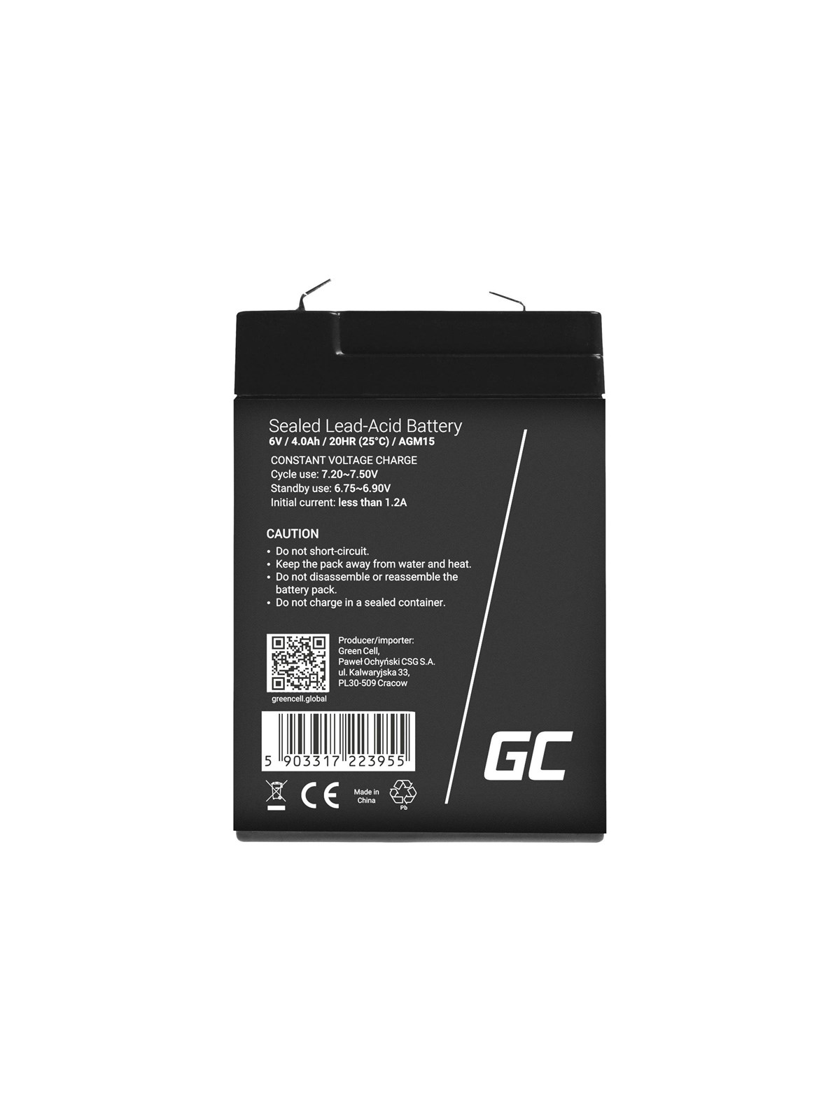 Green Cell AGM15 - 12V 15Ah VRLA Battery | AGM | Maintenance-Free
