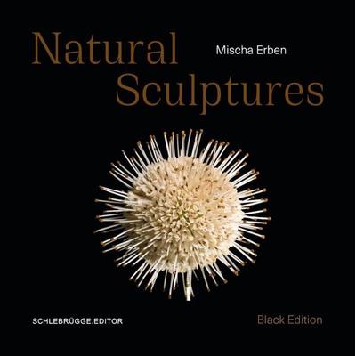 Mischa Erben – Natural Sculptures, Taschenbuch von , Schlebrügge.Editor, 978-3-903447-45-5