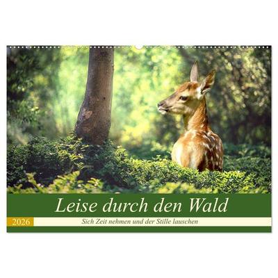 Leise durch den Wald. Sich Zeit nehmen und der Stille lauschen (Wandkalender 2026 DIN A2 quer), CALVENDO Monatskalender