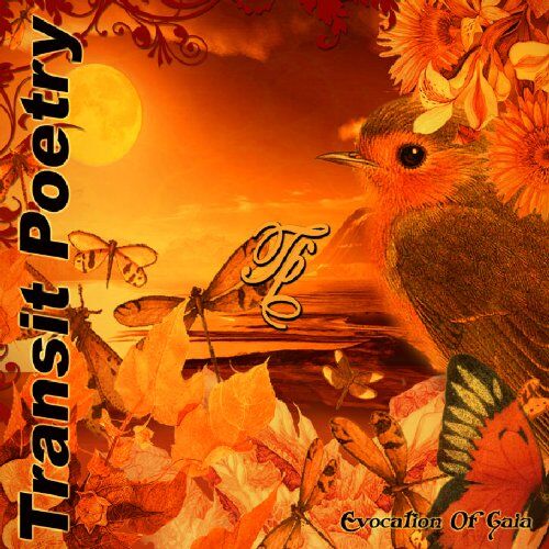 Transit Poetry - Evocation of Gaia - Preis vom 09.10.2026 07:28:09 h