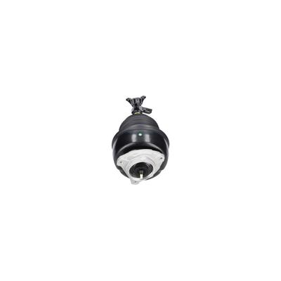 KAVO PARTS Luftfederbein sas10071 Vorderachse rechts für Mercedes