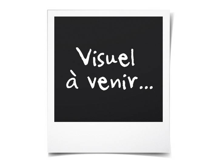 Mubusi Tapis Vinyle Berbère Crème 100x150 cm - Tapis Chambre en Vinyle