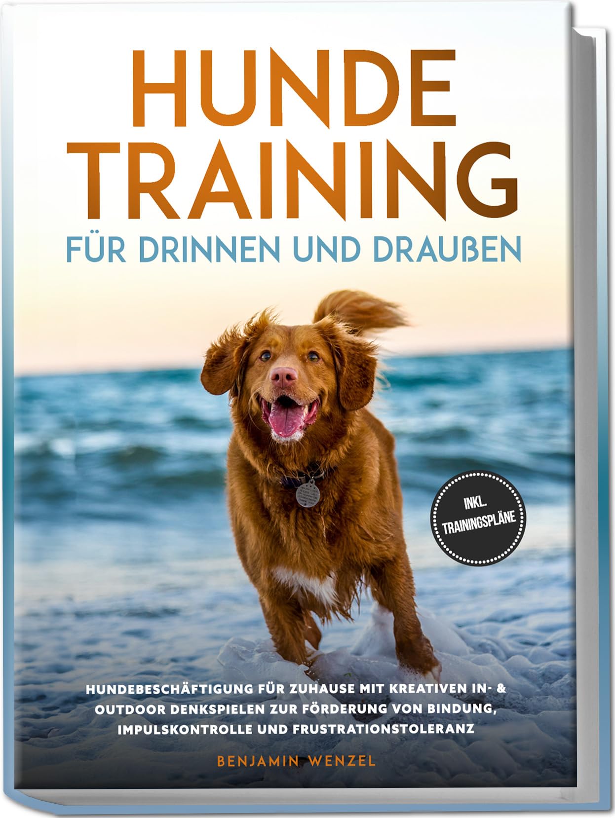 Benjamin Wenzel - Hundetraining für drinnen und draußen: Hundebeschäftigung für zuhause mit kreativen In- & Outdoor Denkspielen zur Förderung von Bindung, Impulskontrolle & Frustrationstoleranz - inkl. Trainingspläne - Preis vom 09.10.2026 07:28:09 h
