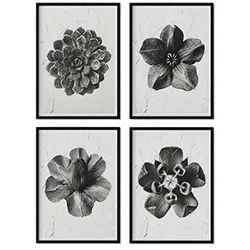 POSTER Set mit 4 von Blumenblättern Blumen und Pflanzen in Grausteinen A3 Schwarzer Rahmen