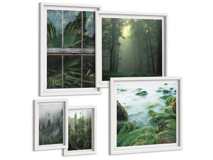 BILDER SET 5er Set - 50x50 cm & 20x30 cm & 40x60 cm Weißer Rahmen - Nahaufnahmen von Blättern sukkulenter Pflanzen