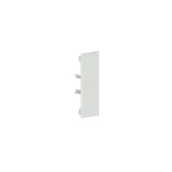 GGK 2891 Endstück LFG 40x110mm-7035, Kunststoff hfr, lichtgrau LFG 40x110-ES LFG40x110ES