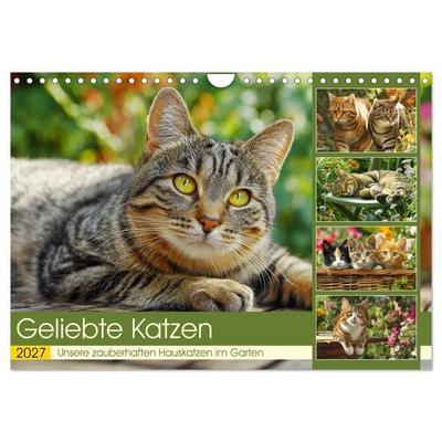 Geliebte Katzen. Unsere zauberhaften Hauskatzen im Garten (Wandkalender 2027 DIN A4 quer), CALVENDO Monatskalender