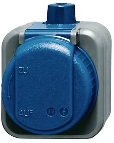 ABB 2CKA002083A0343 Schutzkontakt-Steckdose IP66 Schwarz, Enzianblau (RAL 5010)
