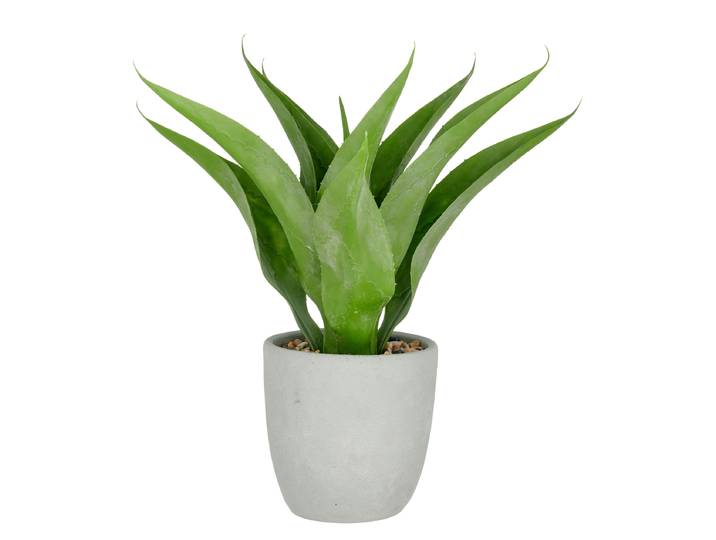 Kunstpflanze Agave Typ B 55cm