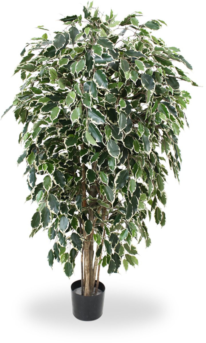 Maxifleur Ficus Exotica deluxe kunstboom, 150 cm, bont