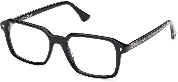 Web WE5463 (005)